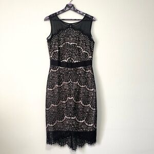 Jax Bodycon Black Lace Midi Cocktail Dress Size 8